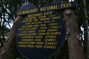 Kilimanjaro 1 300x199 - Kilimanjaro 1