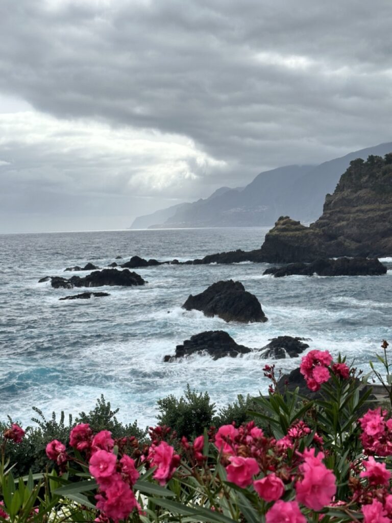 Madeira Seixal 2 768x1024 - Insula Madeira: destinația perfectă pentru iubitorii de natură